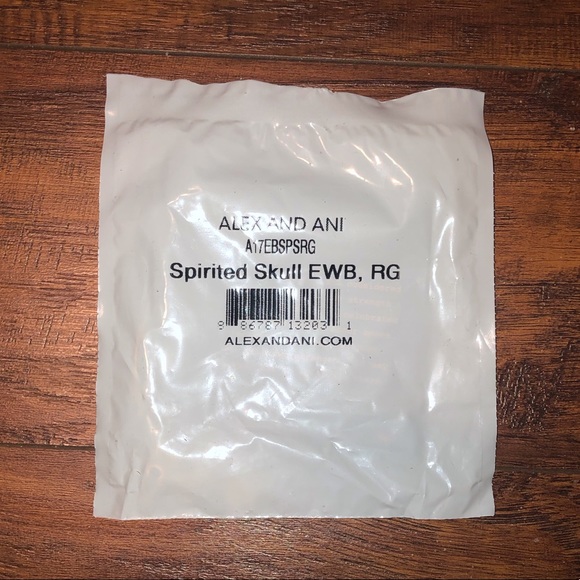 Alex and Ani Spirited Skull Adjustable Bracelet - Picture 2 of 2